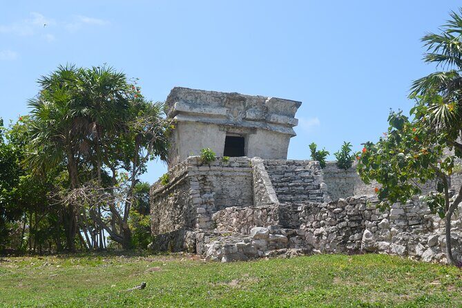 TULUM 4x1 : Archaeological Site, Cenote, 5th Avenue and lunch - From 6:00 am pickup to 5th Avenue: how the pacing really feels