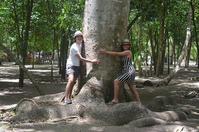 TULUM 4x1 : Archaeological Site, Cenote, 5th Avenue and lunch - Muul Ichi Ts’ono’ot cenote: the swim stop that people remember