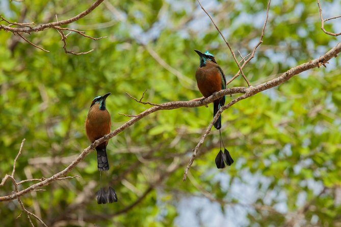 Tulum & Cenote Adventure - Small group and a bilingual guide: why max 14 matters