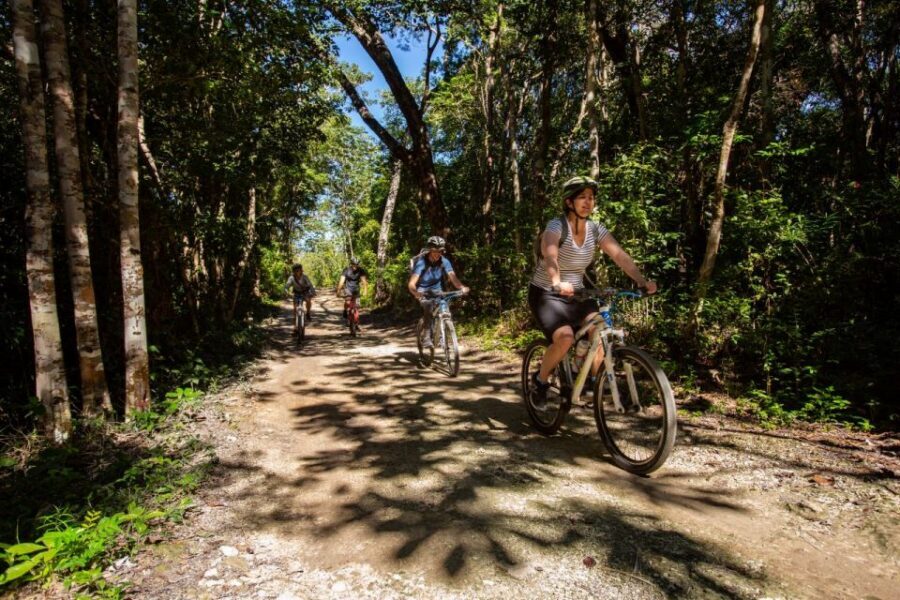 Tulum: Cenote Trail Bike Tour - Who This Tour Fits Best (and Who Should Skip It)