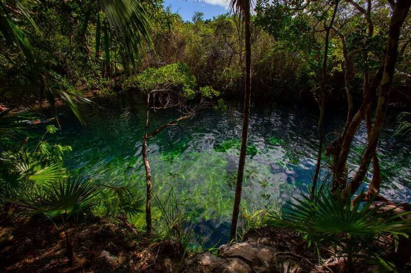 Tulum: Cenote Trail Bike Tour - Cenotes 101: Why These Water Stops Feel Different