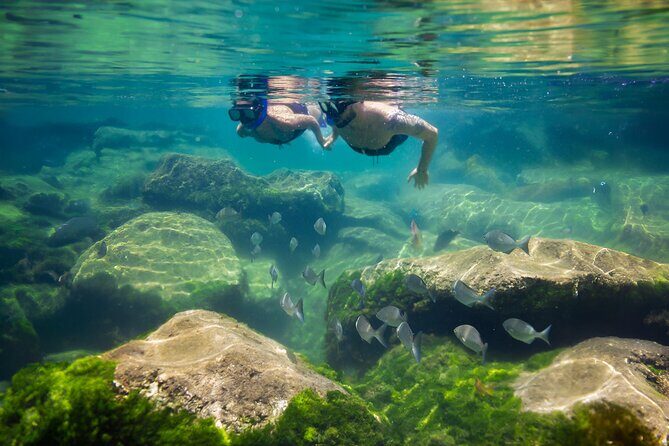 Tulum Guided Tour, Magical Cenote, Lagoon Snorkeling and Beachside Lunch - What You Really Pay For: Value Check on $169