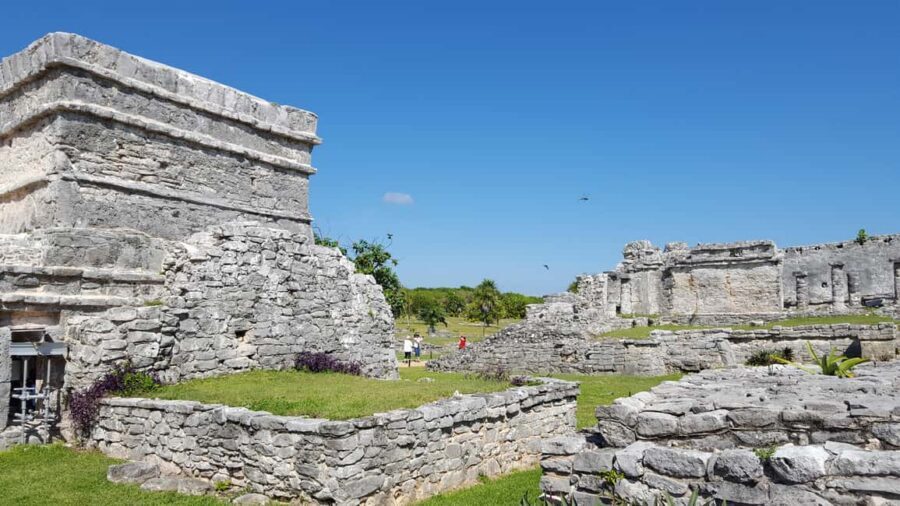 Tulum: Mayan Ruins & Sian Kaan Tour with Boat Ride and Lunch - Should You Book This Tulum Ruins and Sian Kaan Tour?