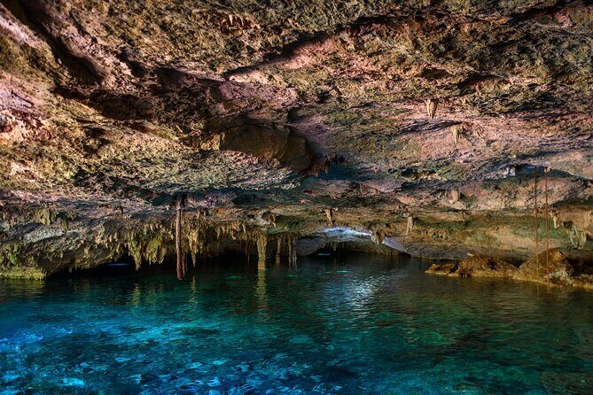 Tulum Ruins and Cenote Guided Tour, from Cancun - What the Best Reviews Reveal About the Guides