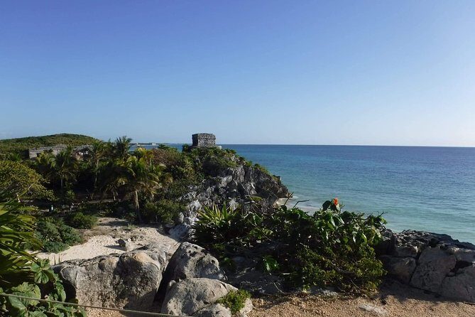 Tulum Ruins Tour (Private, Half Day) - Getting to the ruins without cooking in the sun