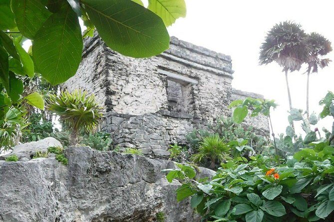 Tulum Ruins Tour (Private, Half Day) - Heat management: shoes, water, and when to slow down
