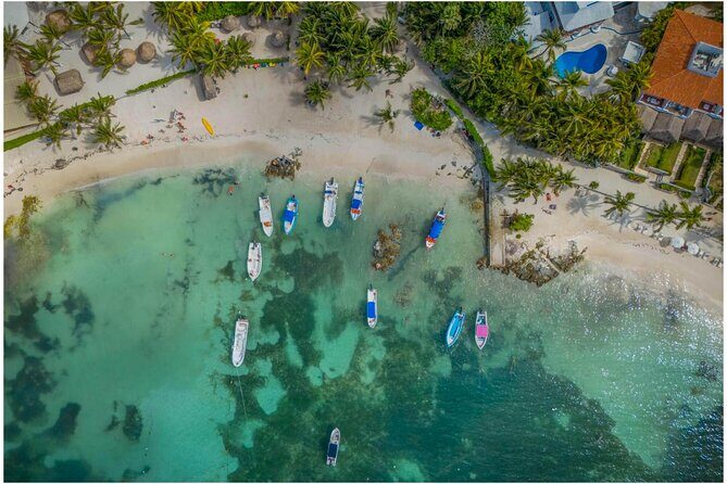 Tulum Ruins, Turtles in Akumal and Cenote tour - Key things you’ll notice right away