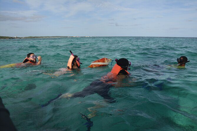 Tulum: Snorkeling and Private Sailing Tour - Safety and the “weather reality” for a reef tour