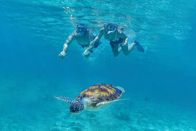 Tulum, Snorkeling with Sea Turtles, Cenote and Beachside Lunch - One Day, Four Places: How the Pace Really Feels