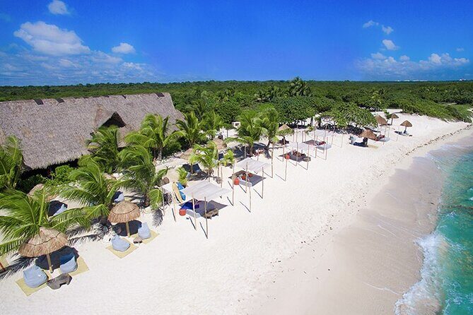 Tulum, Snorkeling with Sea Turtles, Cenote and Beachside Lunch - Price and What You’re Really Getting for $189