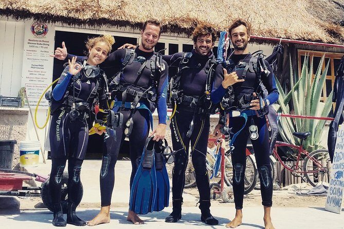 Two tanks local diving for certified divers, SCUBA gear included - Small group feel: what a max 16-person cap changes