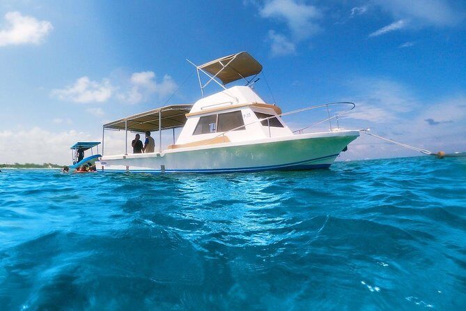 Ultimate 5x1 Combo with ATV, Ziplines, Cenote & Reef Snorkeling - Puerto Morelos Reef National Park snorkeling: the best payoff per minute