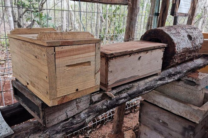 Valladolid Mayan Bees Tour with Lunch or breakfast and Honey Tasting - Lunch or breakfast at the park: included fuel that actually helps