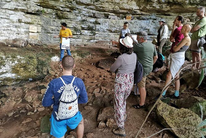 Valladolid Mayan Bees Tour with Lunch or breakfast and Honey Tasting - Who should take the Valladolid Mayan Bees tour