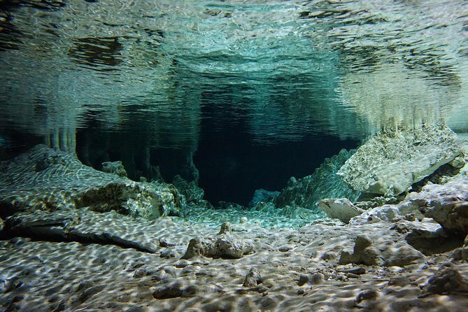 VIP Cenotes Private Tour - The snorkeling guide: the difference between seeing rocks and seeing wildlife