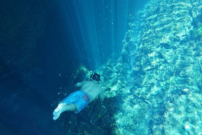 VIP Cenotes Private Tour - Private tour value: when $205 makes sense