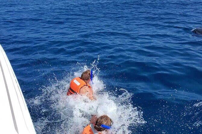 Whale Shark Adventure in Isla Mujeres and Cancun - The 6-hour day: boat ride, search time, and how the schedule really feels