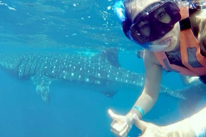 Whale Shark Adventure in Isla Mujeres and Cancun - Your swim turns: what “two times” really means in the water