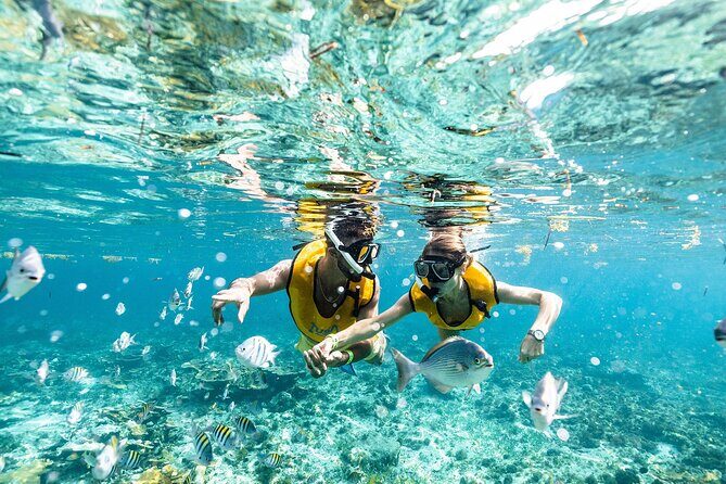 With Turtles, Shipwreck, Cenote, and Reef and Transport Included - Getting To The Boat: Pickup, Check-In, And What “Time in Water” Means