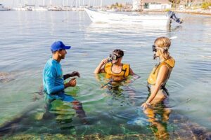 With Turtles, Shipwreck, Cenote, and Reef and Transport Included - Gear Setup: Comfort, Fit, And Easy Fixes for First-Timers