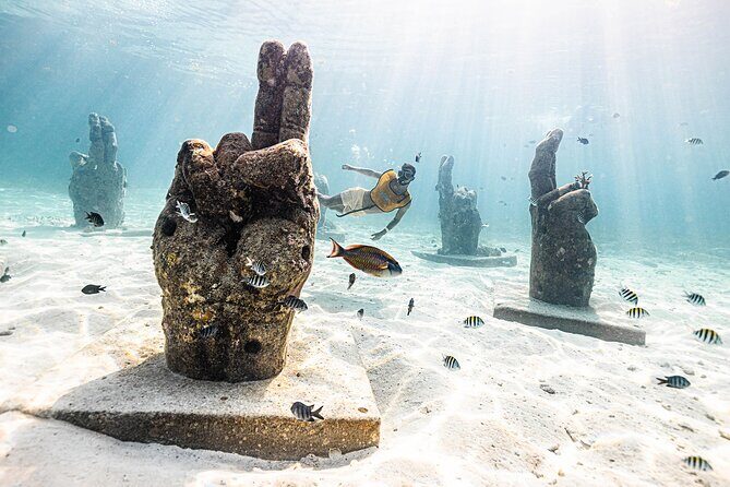 With Turtles, Shipwreck, Cenote, and Reef and Transport Included - Shipwreck And Underwater Structures: What You’re Really Seeing