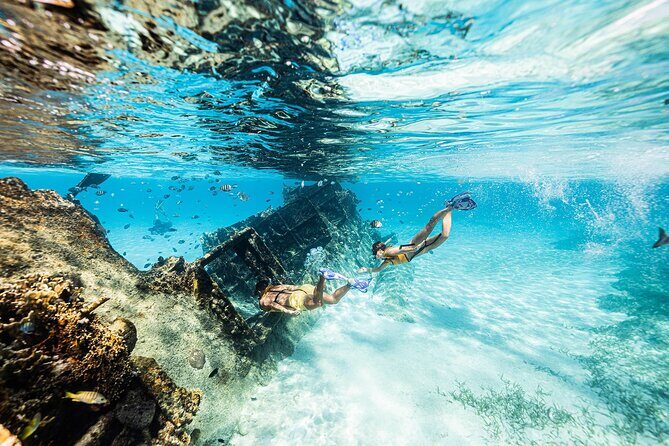 With Turtles, Shipwreck, Cenote, and Reef and Transport Included - Cenote Time And “Along-The-Water” Structure