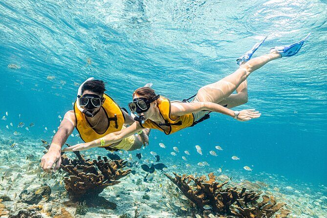 With Turtles, Shipwreck, Cenote, and Reef and Transport Included - Small-Group Service: Real Help In The Moment