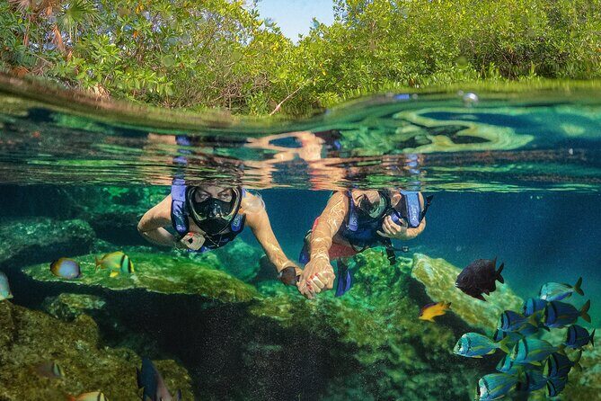 Xel-Ha Park Admission Tickets - Cenote and cave time: Chacahs’ Garden and the park’s calmer pockets