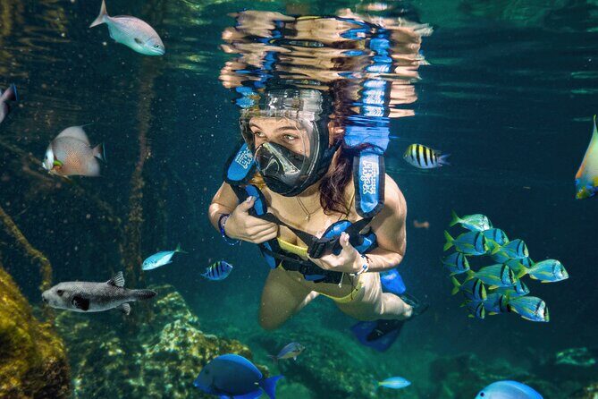 Xel-Ha Tickets with Transportation included - What you’re really getting: Xel-Há as a natural aquarium day pass