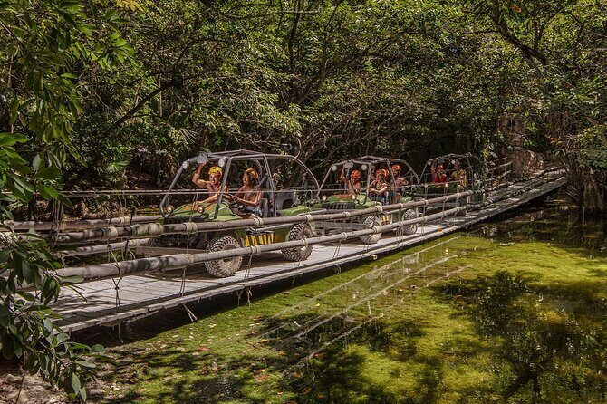 Xplor Park Day Trip with Lunch and Transportation - Amphibious vehicle ride: driving the jungle circuit